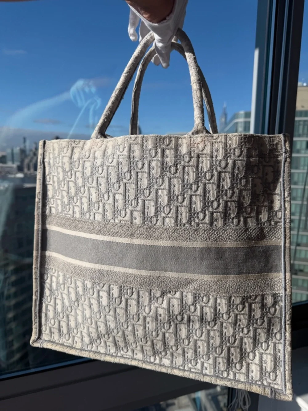 Christian Dior Large Book Tote Gray Oblique Embroidery Authentic Dust Bag - Picture 5 of 12